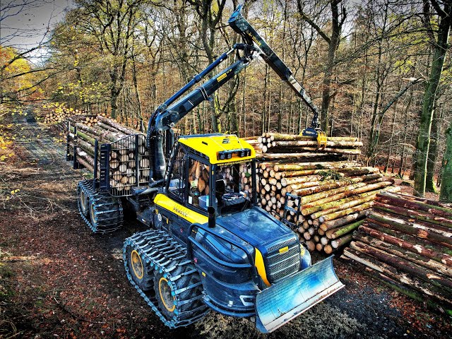 🌲4K|*MyPonsse* pure driving • NEW Ponsse Buffalo • WorldChampion Logger • ForwarderAction • Part-1🌲