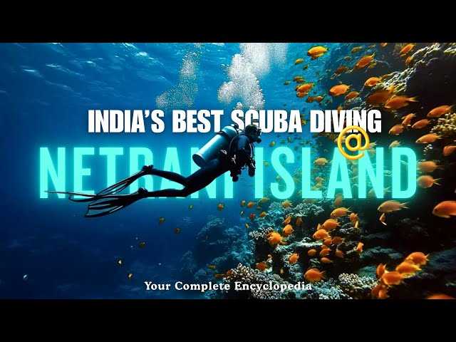 India's Most Thrilling Scuba Diving 🤿 at Netrani Island Murudeshwar Karnataka