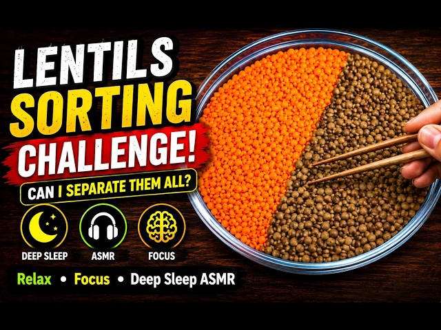 🔴 LIVE Satisfying Red & Black Lentil Sorting | Deep Focus & Sleep ASMR