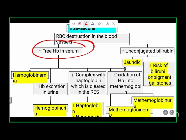DHA Prometric Lab Exam Prep: Haematology & Anemia Explained