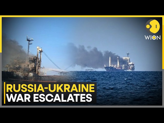 Russia-Ukraine War: Ukraine Blames Russia For Deadly Strike On Turkish Cargo Ship | WION News