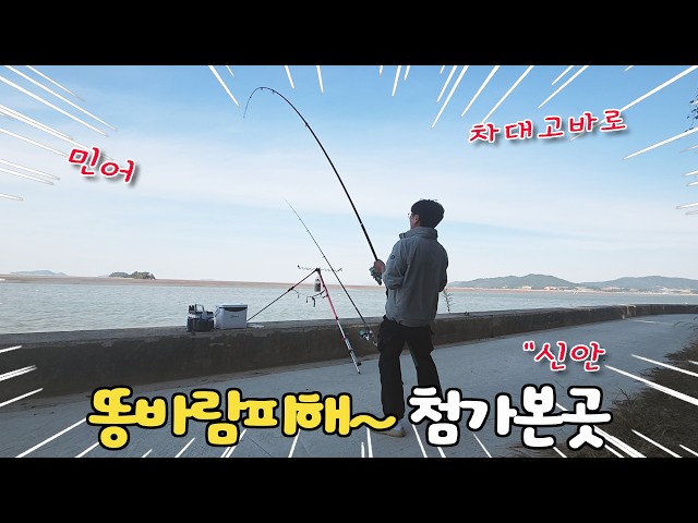 똥바람 피해 첨가본곳~ 차대고 바로 원투낚시~ 감성돔~ 민어~