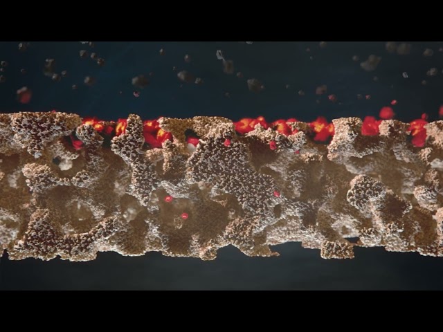 How It Works - Gasoline Particulate Filter (GPF)