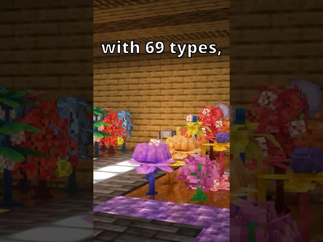 8 Farms You NEED Early in Cobblemon