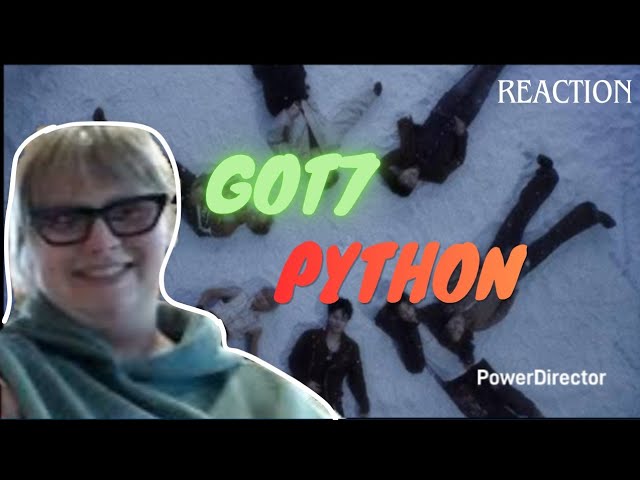 GOT7 - Python MV + Dance Practice | REACTION 🐻
