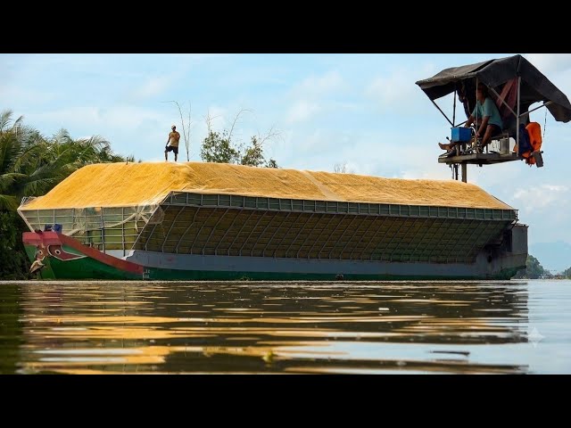 ​Filming Daily River Traffic and Spotted This Unique High-Cabin Rice Husk Boat!