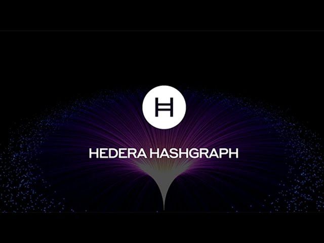 Hedera Hashgraph a Beginners Guide to HBAR
