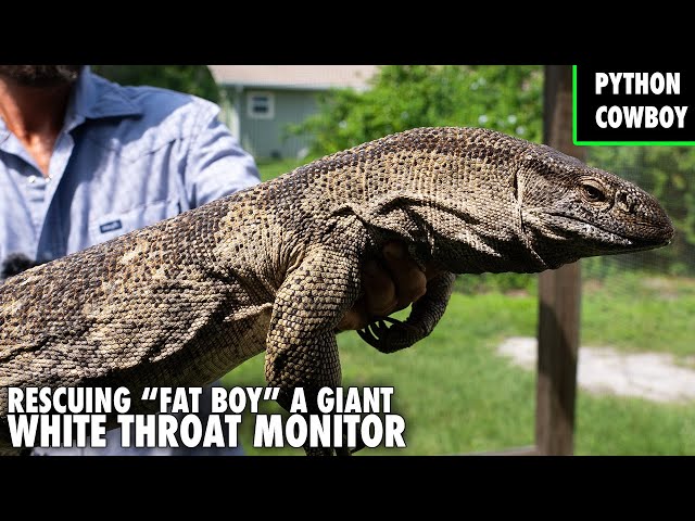 Catching A Potentially New Dangerous Invasive Species