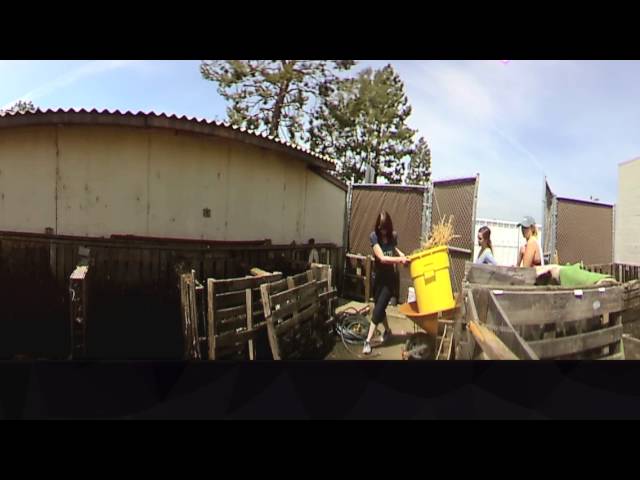 CSUN Food Garden 360 Degree Video