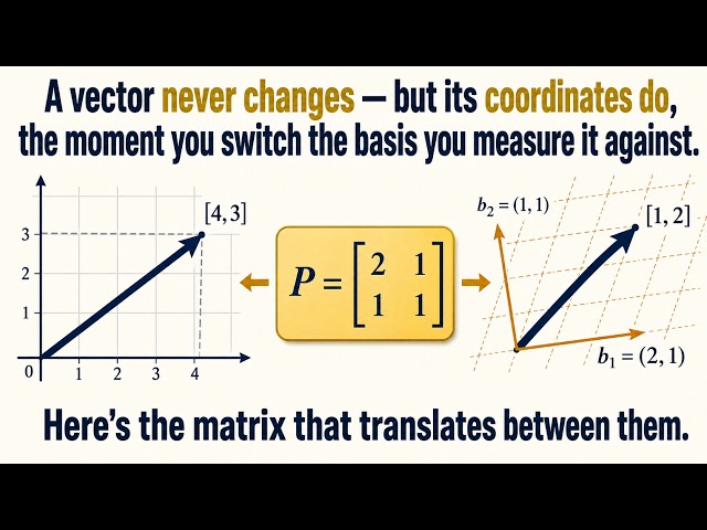 Ep 18: The Same Vector, Different Numbers | Coordinates and Change of Basis