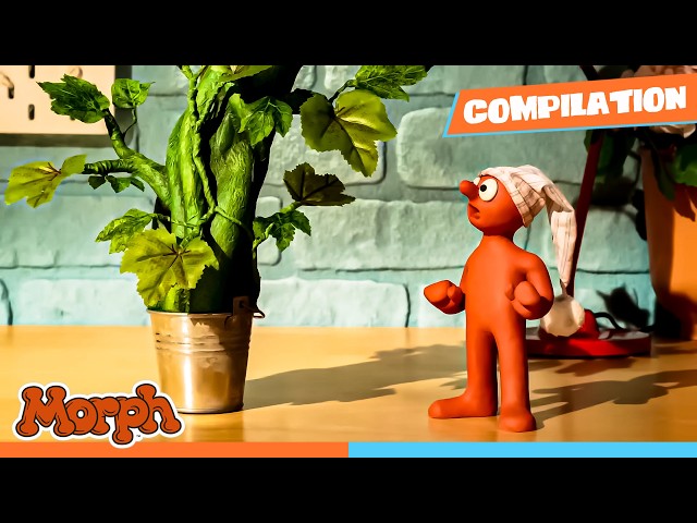 WHERE DOES THAT TREE LEAD? | Morph