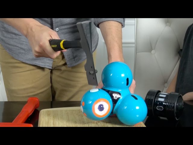 What's inside STEM Robots?