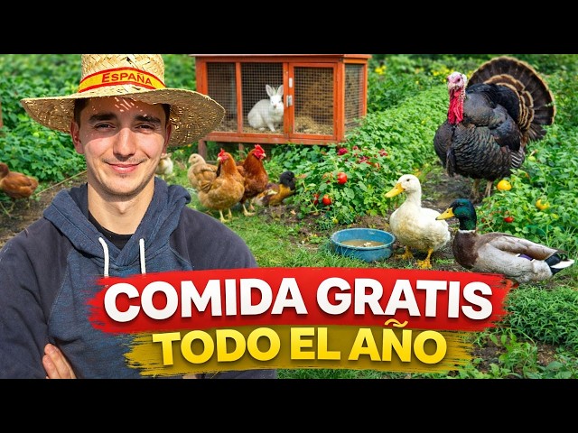 Como ser AUTOSUFICIENTE Sin Terreno