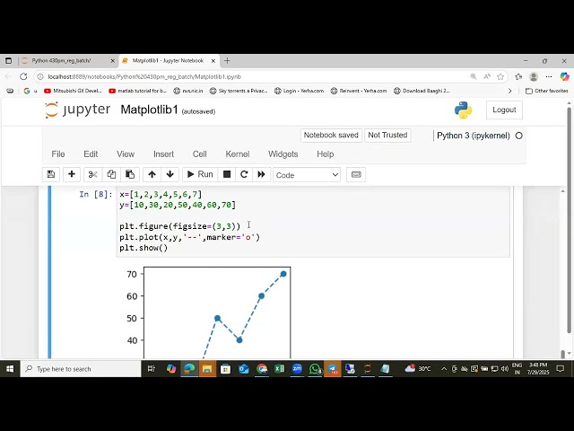 PYTHON|MATPLOTLIB|TOPIC (3)|CRASH VIDEO|(2025)