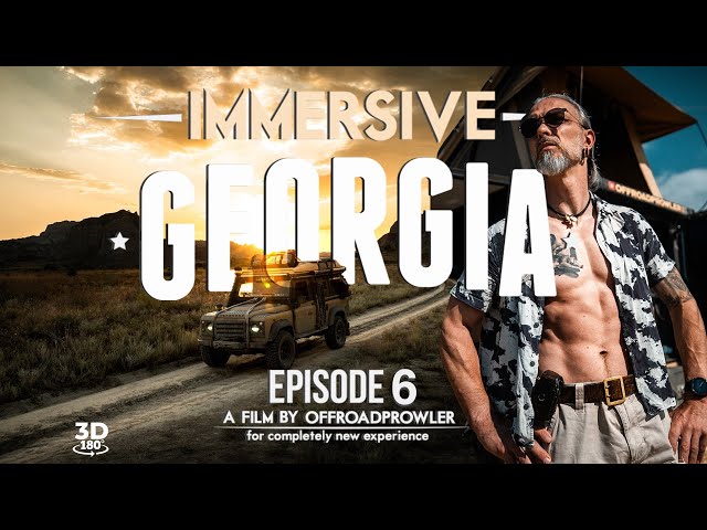 WHAT DO SHEEP, BORDER PATROL, and STILLNESS HAVE in COMMON? – My Journey Through Untamed Georgia