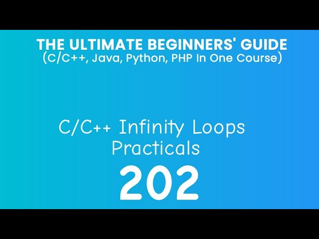 202. C/C++ Infinity Loop Practical
