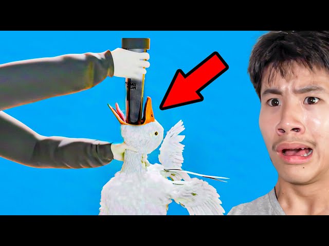 Things You Wish You Never Knew (Zack D Films)