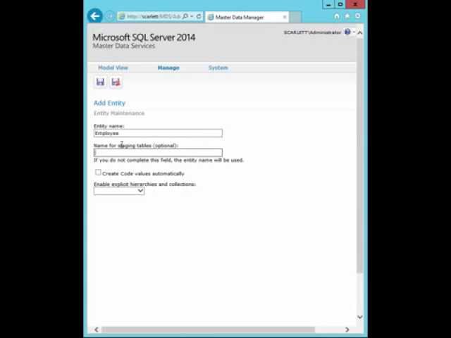 Master Data Services: Setting up a simple Employee model