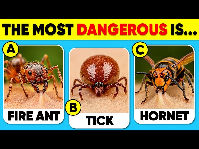How Well Do You Know ANIMALS? 🐜🐞🐝  General Knowledge Trivia Quiz