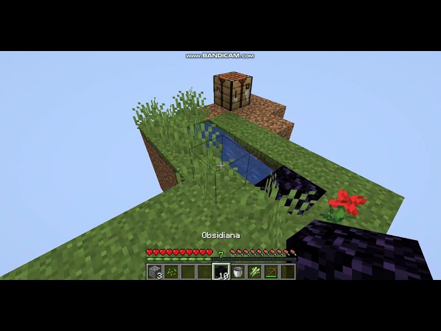 Yoprontopro2 intenta pasarse los dias en SKYBLOCK