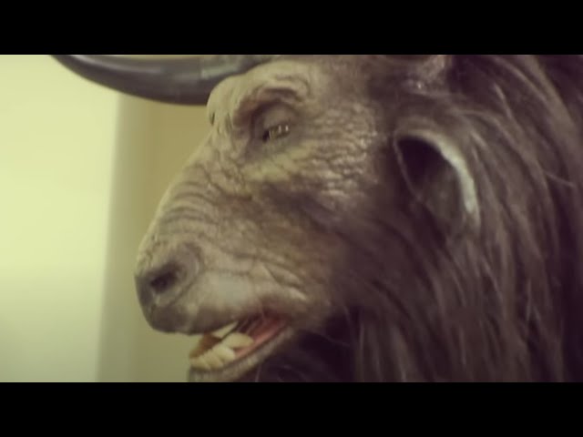 RJD2 - Let There Be Horns