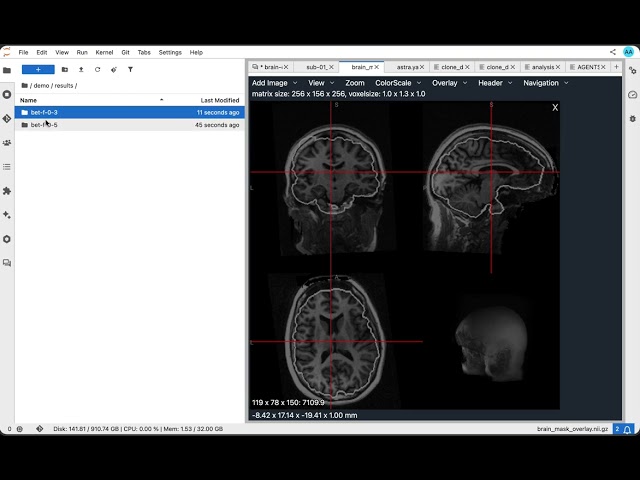 Lightcone Astra Spec integration in Neurodesk