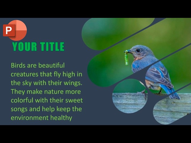 PowerPoint Animation Tutorial – Stunning Bird Slide Design