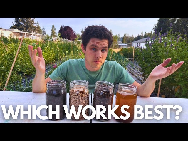 Biochar vs Bokashi vs IMO vs Compost Tea