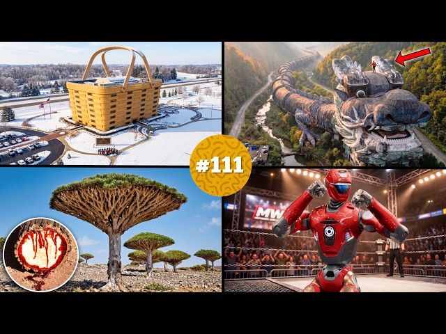 🧠 ¡20 DATOS CURIOSOS que NO sabías hace 5 minutos! 😱#111