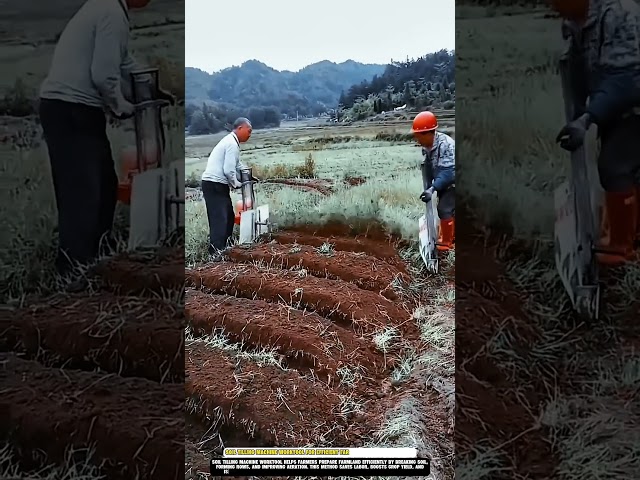 Soil Tilling Machine Worktool for Efficient Farmland Preparation Rows