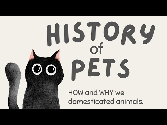 “The History of Pets | English Pre-School Lesson | Gentle Screen Time