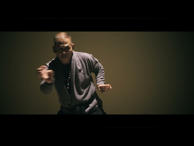 Hung Gar Kung Fu Master Lau #shorts