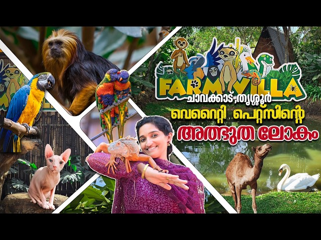 Farm Villa Chavakkad | Farm Villa Chavakkad Ticket Price | Exotic Farm Villa Thrissur | Thrissur