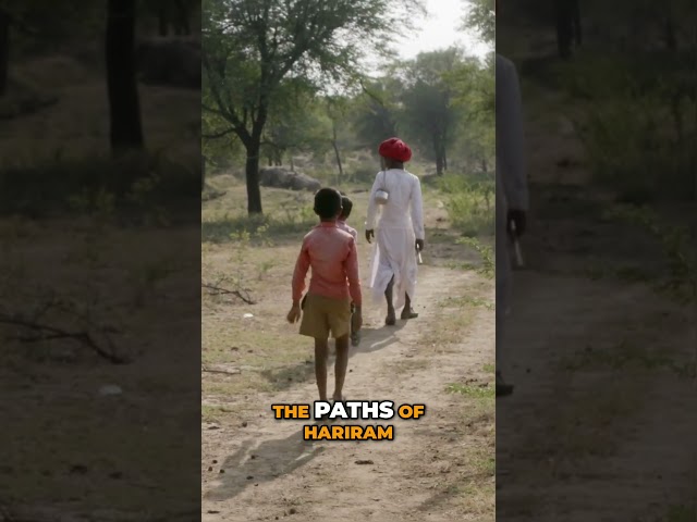 Herders Struggle – Lions Replace Camels & Locals Suffer! 🐪🦁😱 #rajasthan #herders #wildlife #nature