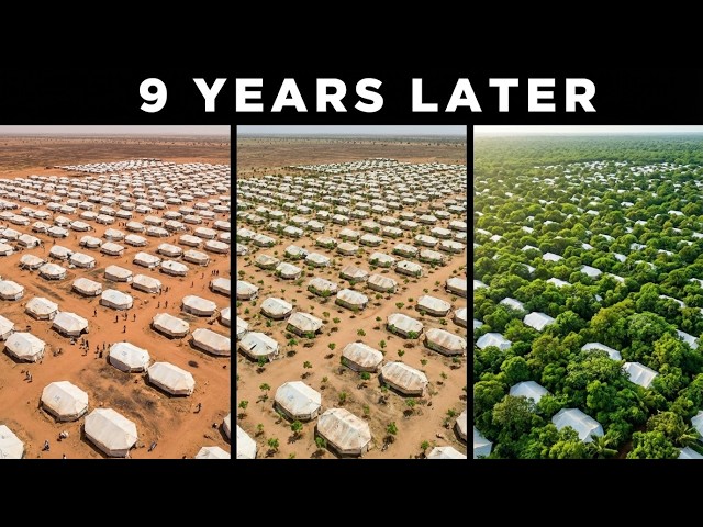 How Cameroon Is Reversing Deforestation Using Simple Technology