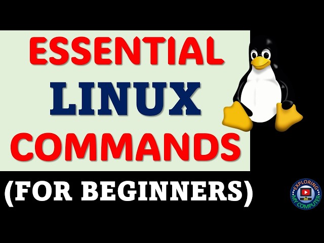 Linux commands for beginners | Basic Linux commands for everyone