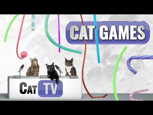 CAT Games | Paws & Play: String Animations for Cats! 🐱🎬 | String Videos For Cats to Watch 😼