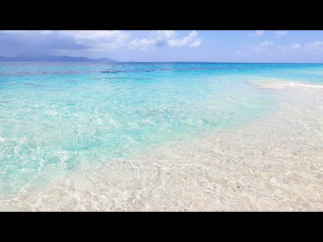 Terapia azul: 3 horas de olas del océano en una isla tropical (vídeo 4K)