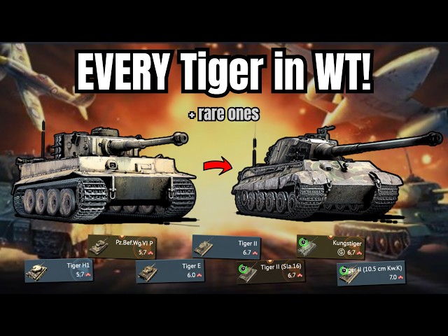 EVERY Tiger in War Thunder!🔥(BOSS entered the battlefield) | Angle is My Second Name!💥