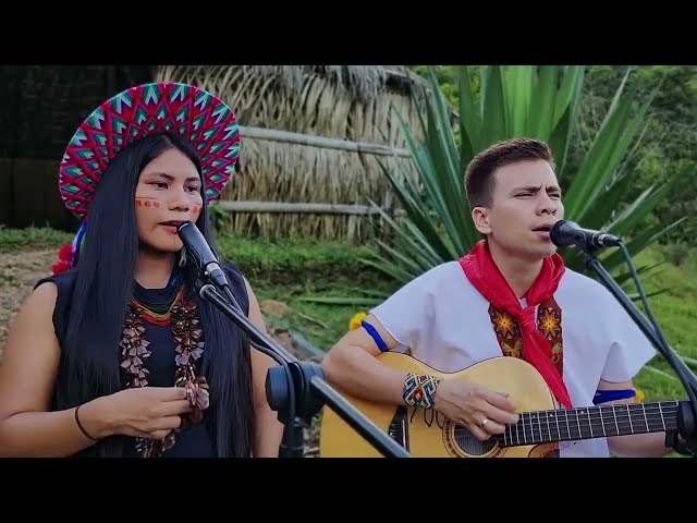 Nicolas Losada & Erika Muchavisoy - La Anaconda EN VIVO (cover) | Música Medicina