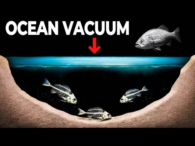 The Underwater Lakes That Kill Everything It Touches
