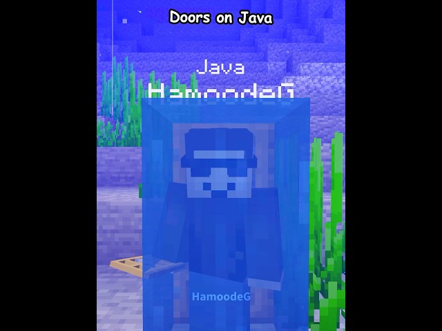 Doors On Java VS Doors On Bedrock 💀