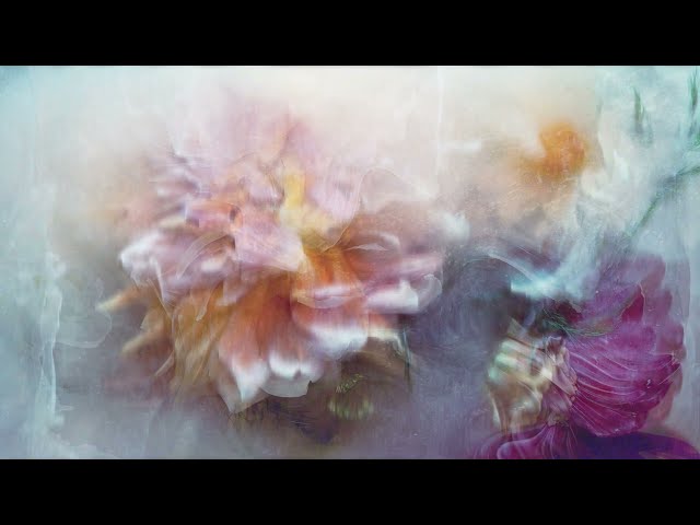 Tinlicker - Cold Enough For Snow (Full Album Visualiser)