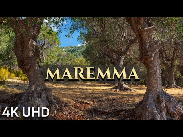 Maremma: Tuscany’s Hidden Natural Paradise 4k