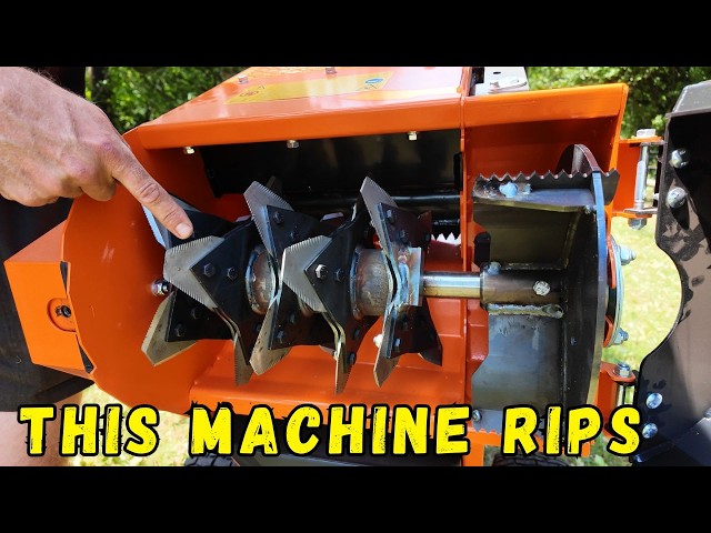 This is what a Chipper should Look Like!