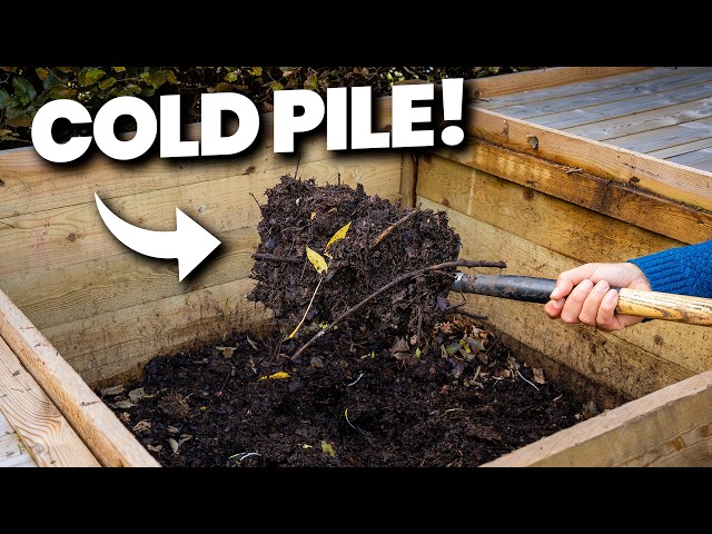 Stop Believing These Composting Myths!