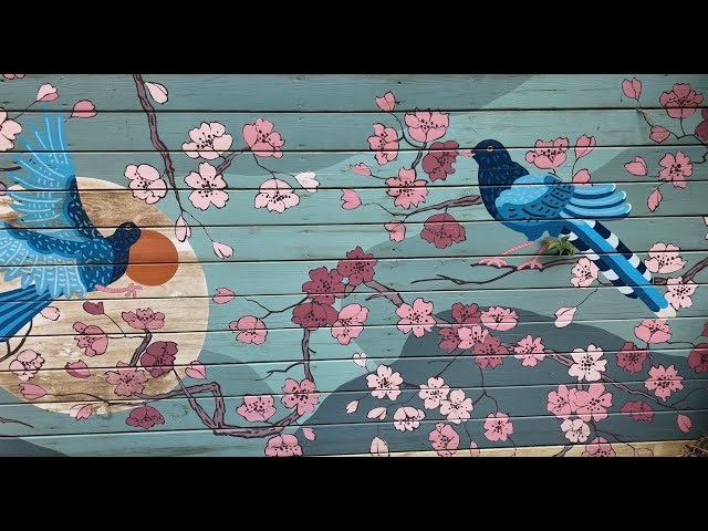 陽明山健行-大屯瀑布 OSMO Pocket 3 HLG 4K HDR 60FPS (7/5/2025)