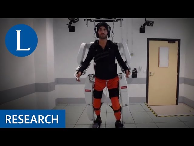Exoskeleton Controlled by a Brain-Machine Interface