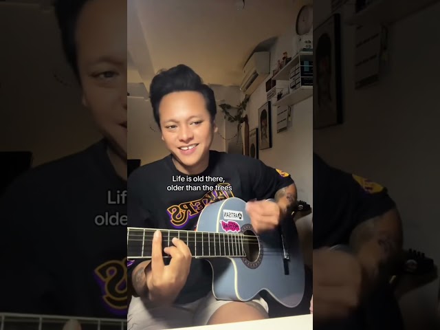 joe python - Take me home Country Road #cover