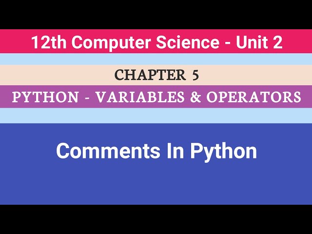 12th Computer Science || Chapter 5 || Comments In Python #CMWay